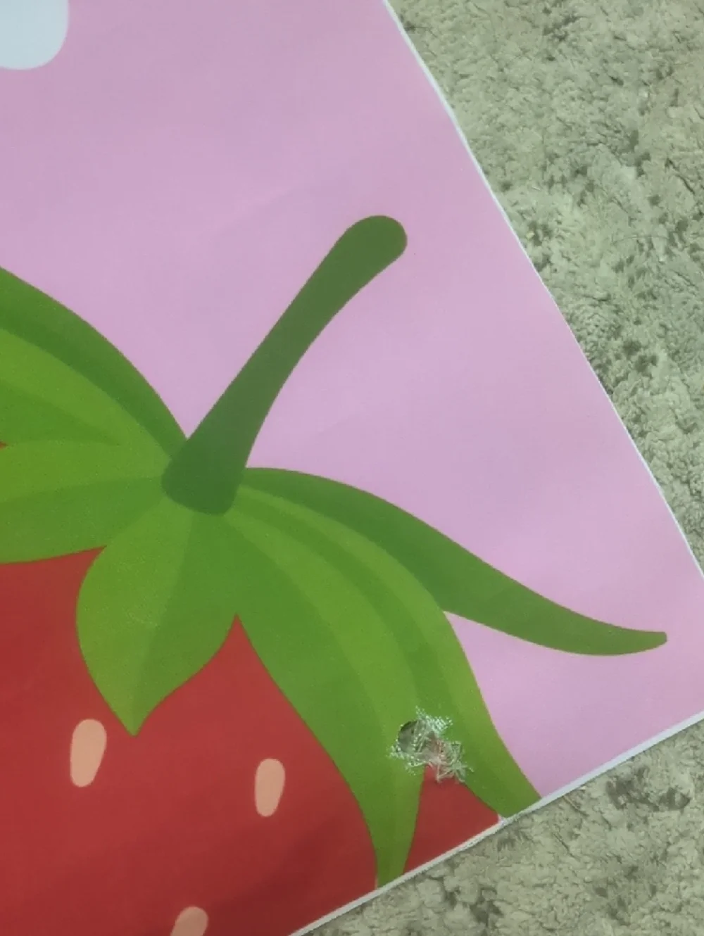 Berry First Birthday Pink Party Backdrop